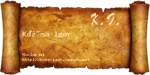 Kósa Igor névjegykártya
